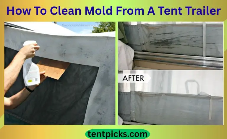 How To Clean Mold From A Tent Trailer