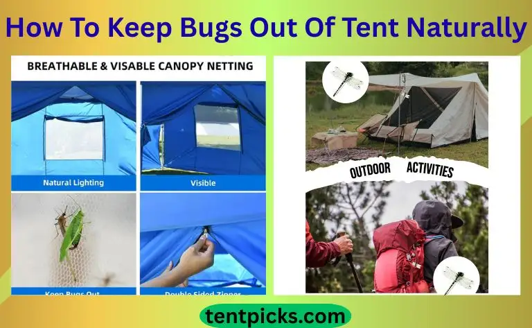 How To Keep Bugs Out Of Tent Naturally
