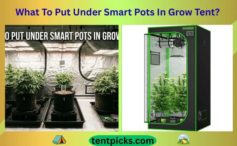 What To Put Under Smart Pots In Grow Tent