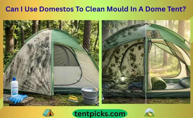 Can I Use Domestos To Clean Mould In A Dome Tent