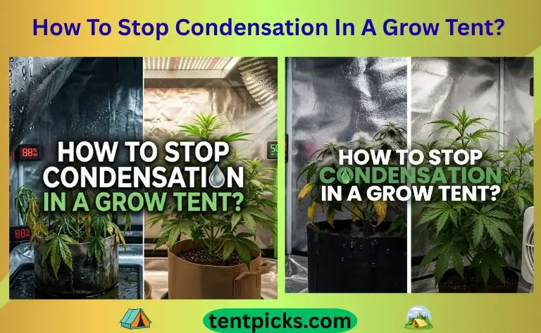 How To Stop Condensation In A Grow Tent