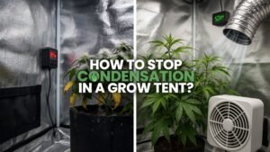 How To Stop Condensation In A Grow Tent