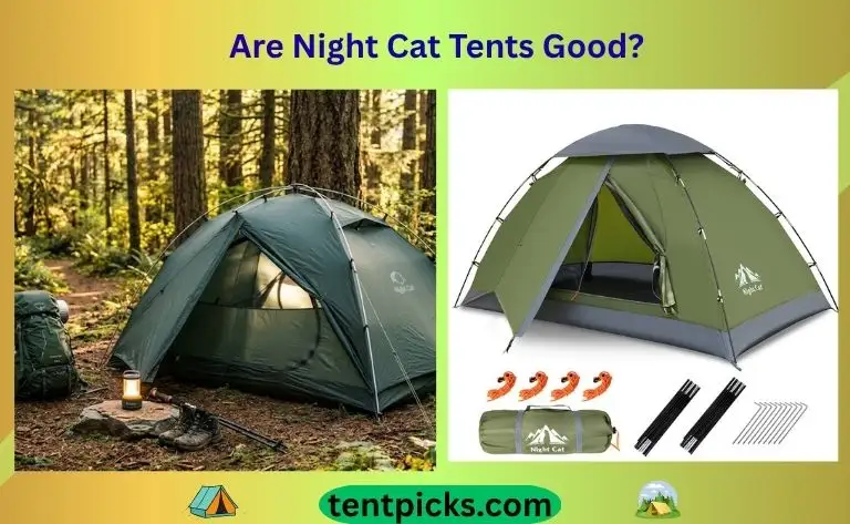 Are Night Cat Tents Good